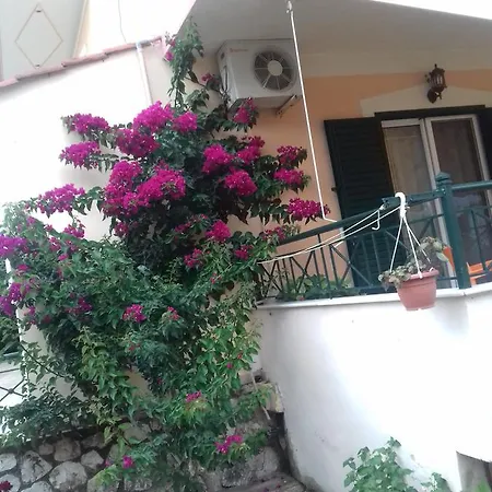 Apartment Zogaj